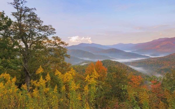USA, North Carolina Black Mountains overlook
